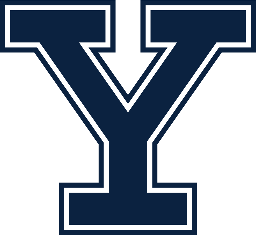 Yale Bulldogs 2019-Pres Primary Logo DIY iron on transfer (heat transfer)